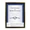 Black &#x26; Gold Multipurpose Document Frame, 8.5&#x22; x 11&#x22;, Basics By Studio D&#xE9;cor&#xAE;